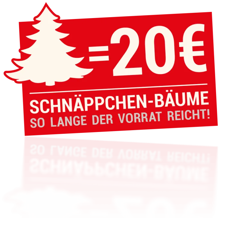 Schnäppchen-Bäume bei Reckmann
